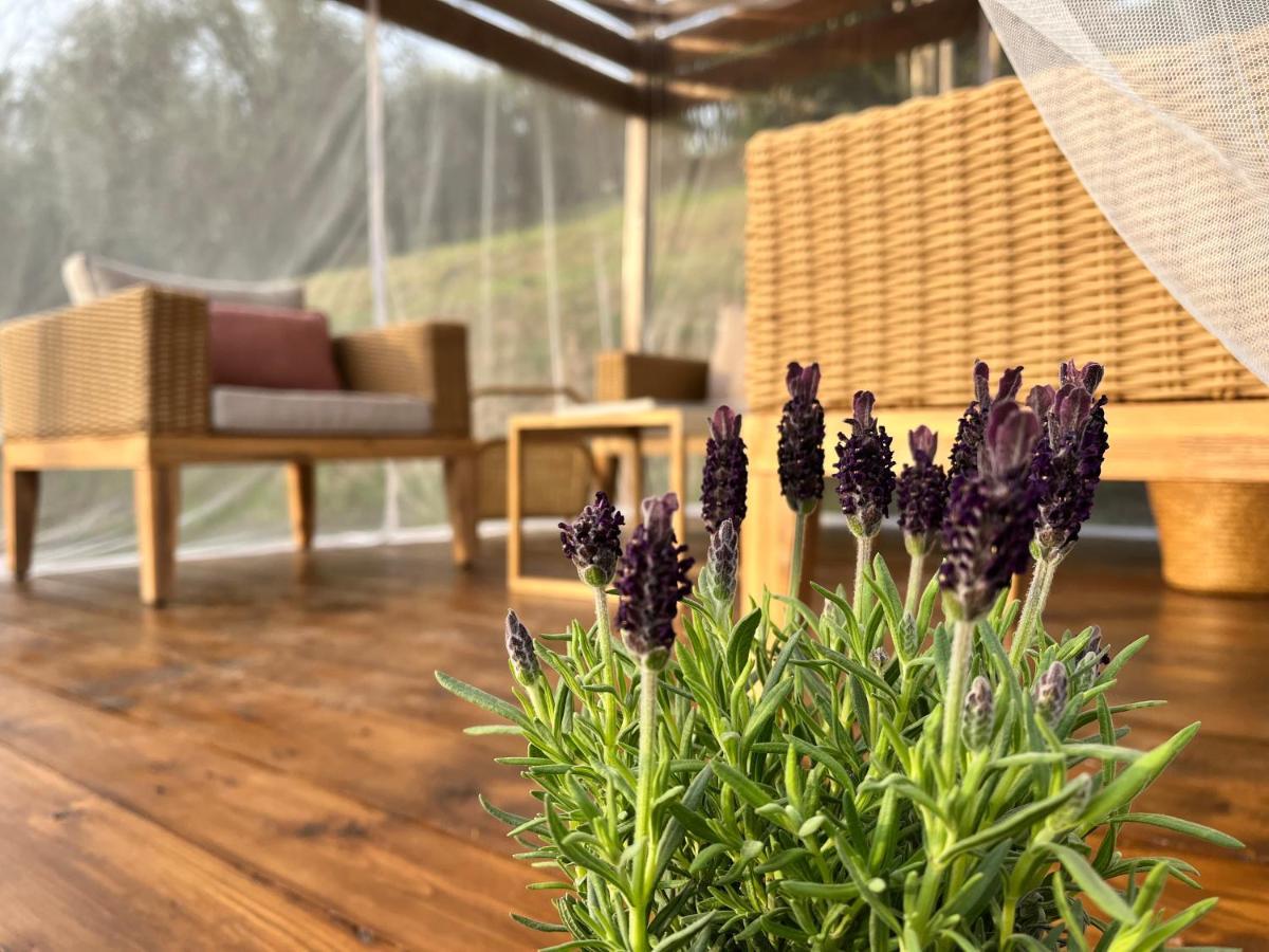 보르고 아 부기아노 Casa Del Pino B&B 외부 사진