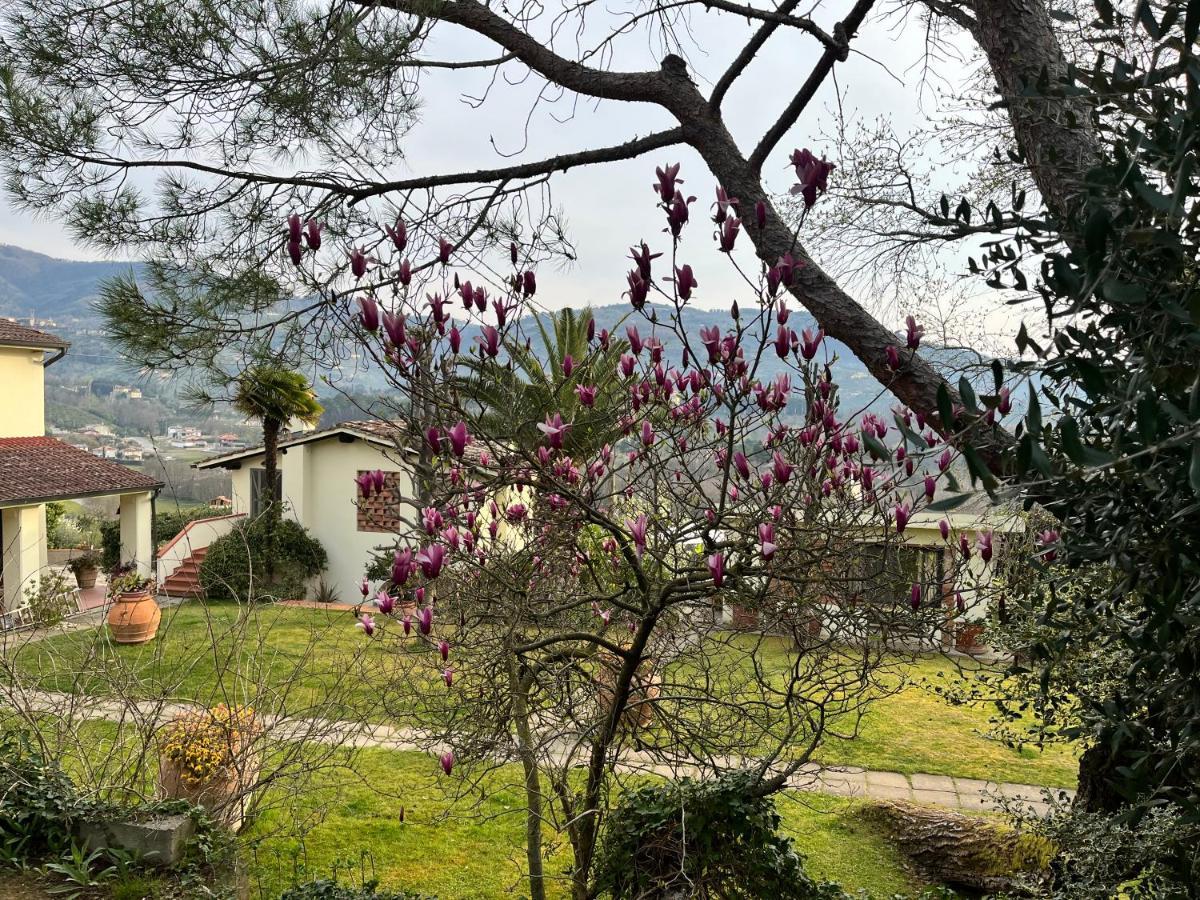 보르고 아 부기아노 Casa Del Pino B&B 외부 사진